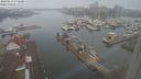 ./images/victoria/wharf/20240223/wharf20240223_075500.jpg