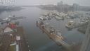 ./images/victoria/wharf/20240223/wharf20240223_081000.jpg