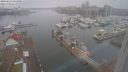 ./images/victoria/wharf/20240223/wharf20240223_085000.jpg