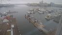 ./images/victoria/wharf/20240223/wharf20240223_092500.jpg