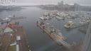 ./images/victoria/wharf/20240223/wharf20240223_093500.jpg