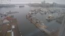 ./images/victoria/wharf/20240223/wharf20240223_094501.jpg