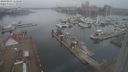 ./images/victoria/wharf/20240223/wharf20240223_111500.jpg