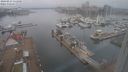 ./images/victoria/wharf/20240223/wharf20240223_112500.jpg