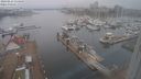./images/victoria/wharf/20240223/wharf20240223_114500.jpg