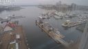 ./images/victoria/wharf/20240223/wharf20240223_115001.jpg