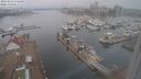 ./images/victoria/wharf/20240223/wharf20240223_115500.jpg