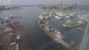 ./images/victoria/wharf/20240223/wharf20240223_122500.jpg