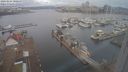 ./images/victoria/wharf/20240224/wharf20240224_080500.jpg