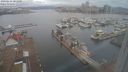 ./images/victoria/wharf/20240224/wharf20240224_081000.jpg