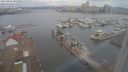 ./images/victoria/wharf/20240224/wharf20240224_083500.jpg