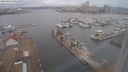 ./images/victoria/wharf/20240224/wharf20240224_084500.jpg