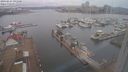 ./images/victoria/wharf/20240224/wharf20240224_091500.jpg
