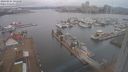 ./images/victoria/wharf/20240224/wharf20240224_092001.jpg