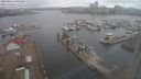 ./images/victoria/wharf/20240224/wharf20240224_095500.jpg