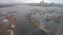 ./images/victoria/wharf/20240224/wharf20240224_100500.jpg