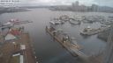 ./images/victoria/wharf/20240224/wharf20240224_101500.jpg