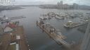 ./images/victoria/wharf/20240224/wharf20240224_105500.jpg
