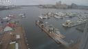./images/victoria/wharf/20240224/wharf20240224_124500.jpg