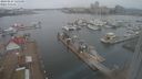 ./images/victoria/wharf/20240224/wharf20240224_125500.jpg