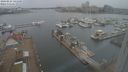 ./images/victoria/wharf/20240224/wharf20240224_141500.jpg