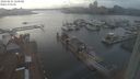 ./images/victoria/wharf/20240224/wharf20240224_160001.jpg