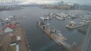 ./images/victoria/wharf/20240224/wharf20240224_172500.jpg