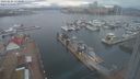 ./images/victoria/wharf/20240224/wharf20240224_173001.jpg