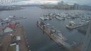 ./images/victoria/wharf/20240224/wharf20240224_173500.jpg
