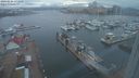 ./images/victoria/wharf/20240224/wharf20240224_174001.jpg