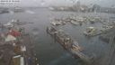 ./images/victoria/wharf/20240225/wharf20240225_084000.jpg