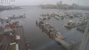 ./images/victoria/wharf/20240225/wharf20240225_120500.jpg