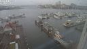 ./images/victoria/wharf/20240225/wharf20240225_122500.jpg