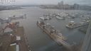./images/victoria/wharf/20240225/wharf20240225_165001.jpg