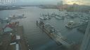 ./images/victoria/wharf/20240225/wharf20240225_175500.jpg