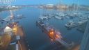 ./images/victoria/wharf/20240226/wharf20240226_064500.jpg