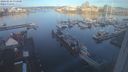 ./images/victoria/wharf/20240226/wharf20240226_075000.jpg