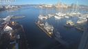 ./images/victoria/wharf/20240226/wharf20240226_091000.jpg