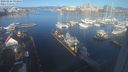 ./images/victoria/wharf/20240226/wharf20240226_091500.jpg