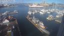 ./images/victoria/wharf/20240226/wharf20240226_103501.jpg