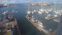 ./images/victoria/wharf/20240226/wharf20240226_120000.jpg