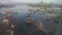 ./images/victoria/wharf/20240227/wharf20240227_084500.jpg