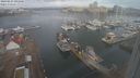 ./images/victoria/wharf/20240227/wharf20240227_093001.jpg