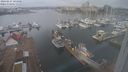 ./images/victoria/wharf/20240227/wharf20240227_104000.jpg
