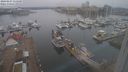 ./images/victoria/wharf/20240227/wharf20240227_115500.jpg