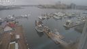 ./images/victoria/wharf/20240227/wharf20240227_144000.jpg