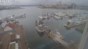 ./images/victoria/wharf/20240227/wharf20240227_151000.jpg