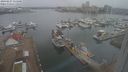./images/victoria/wharf/20240227/wharf20240227_154500.jpg