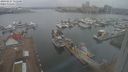 ./images/victoria/wharf/20240227/wharf20240227_155500.jpg