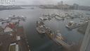 ./images/victoria/wharf/20240227/wharf20240227_161001.jpg